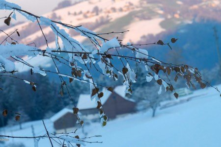 படரும் பனி - Spreading snow