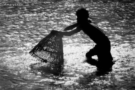 'Fishery at Eechchankulam'