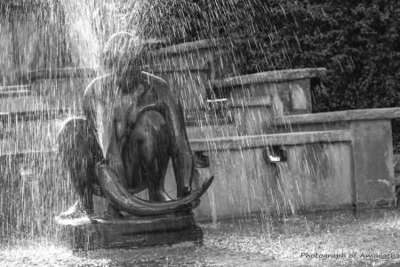 Street-Photography-25