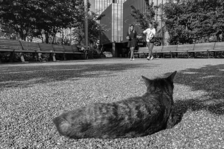 Street-Photography-30