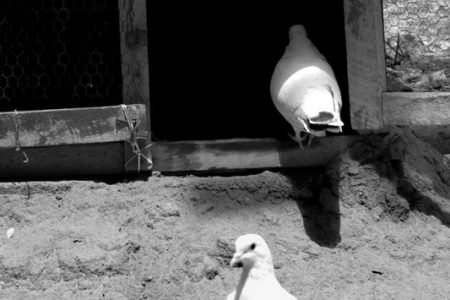 Street-Photography-42